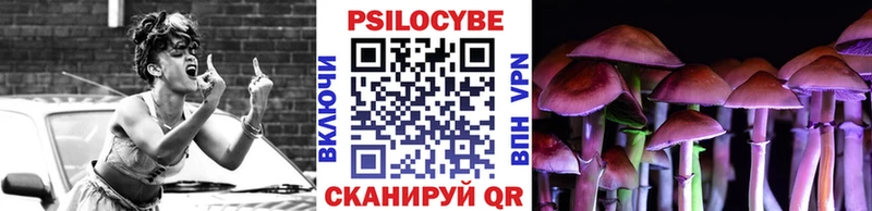 Галлюциногенные грибы MAGIC MUSHROOMS  как найти закладки  Зверево 